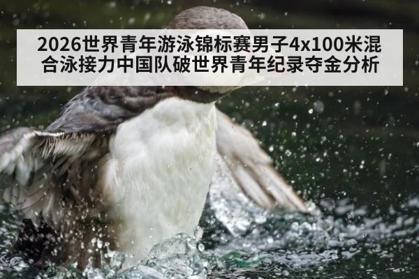 2026世界青年游泳锦标赛男子4x100米混合泳接力中国队破世界青年纪录夺金分析